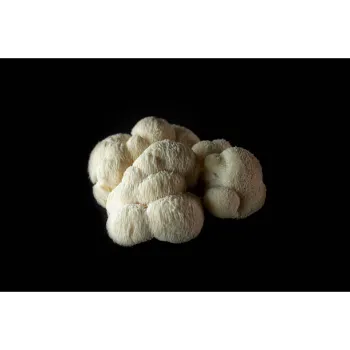Mushroom (35)-3998711-25031.webp